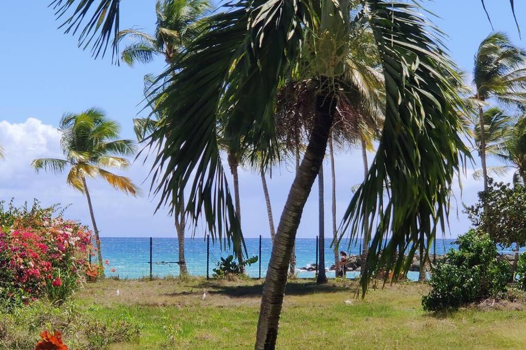 Parfum Des Iles - Vue Mer, Plage A 30M Et Piscine En Option Le Gosier  Bagian luar foto