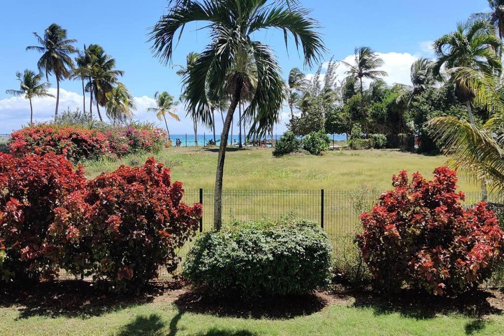 Parfum Des Iles - Vue Mer, Plage A 30M Et Piscine En Option Le Gosier  Bagian luar foto