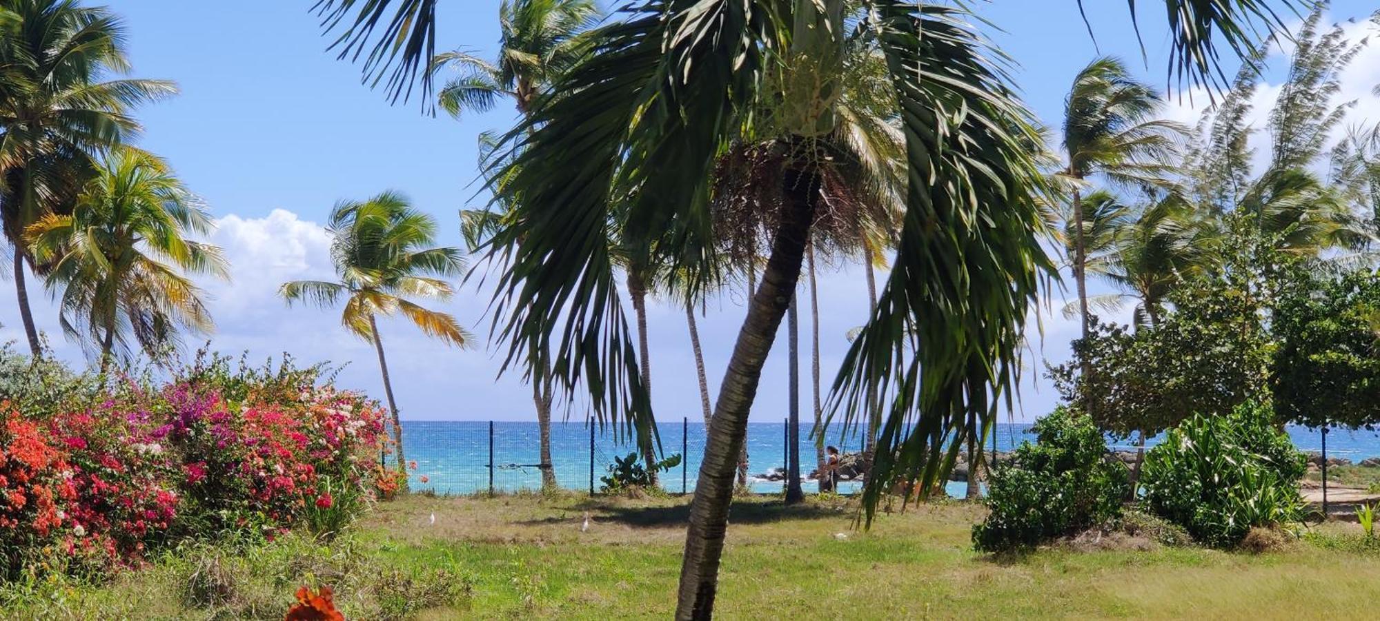 Parfum Des Iles - Vue Mer, Plage A 30M Et Piscine En Option Le Gosier  Bagian luar foto