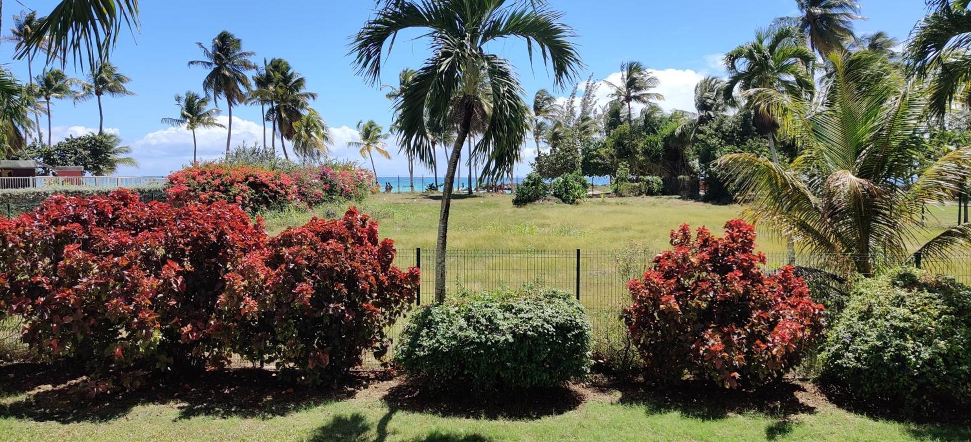 Parfum Des Iles - Vue Mer, Plage A 30M Et Piscine En Option Le Gosier  Bagian luar foto
